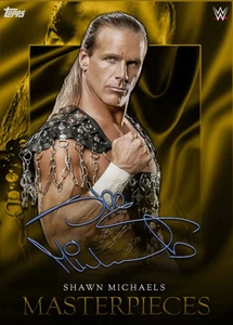 ⭐ TOPPS WWE SLAM | MASTERPIECES 25 SERIES 2 | COMPLETE SETS ⭐ - Picture 1 of 14