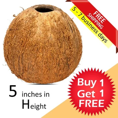 Terrario de reptiles 100 % natural puro ecológico decoración 100 % CÁSCARA DE COCO ENTERA EE. UU. ENVÍO GRATUITO Foto 1 de 4