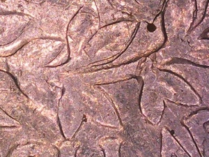 1994 D George Washington Quarter DDO/DDR ERRORS!! - Picture 1 of 23