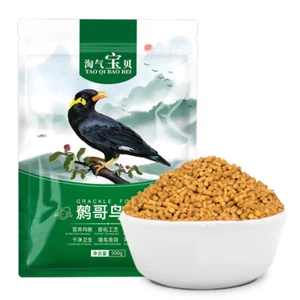 Special Pet Bird Food for Grackle Myna or Medium Pet Birds 500g/pack - Picture 1 of 9