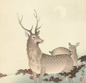 Koppel Deer by Matsuki Heikichi 75cm x 72cm Art Print - Picture 1 of 1