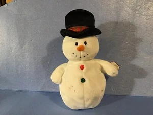 Beanie Babies  “coolston” - Picture 1 of 11