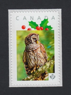 Búho en una sucursal = Sello postal con foto Canadá 2015 [p15/3ow4/1] Foto 1 de 2