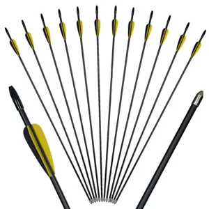 Archery 28" Fiberglass Arrows Outdoor Target Points Recurve Bow Shooting Hunting - Picture 1 of 8