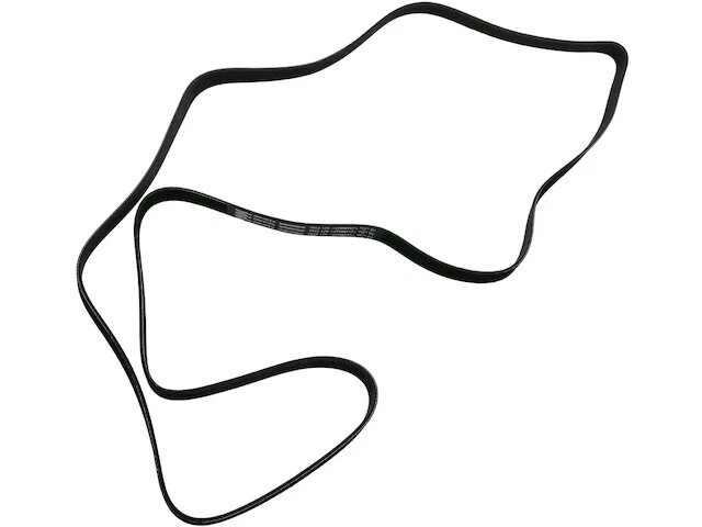 SKP 33HS56R Multi Rib Belt Fits 1992 Utilimaster Step Van 3.3L 6 Cyl GAS — 第 1/1 张图片