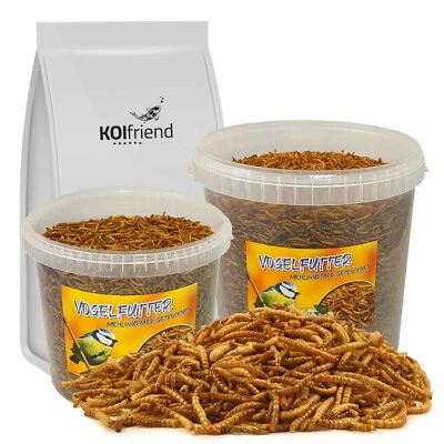 Vogelfutter Mehlwürmer getrocknet Fischfutter Koi Vögel Liter Gartenvögel - Bild 1 von 3