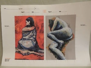 Poster with 2 beautiful pictures and 1 clear for drawing - Picture 1 of 13