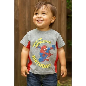 Spiderman Boys' Birthday T-Shirt - Boy Size 4 Gray T-Shirt - Picture 1 of 8