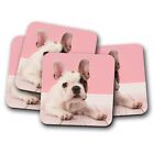 4 Set - Beautiful Pink French Coaster - Bull Dog Animals Puppy Pet Gift #16355