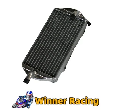 RADIADOR IZQUIERDO GAS EC250 EC300 2018-2019-2020 Foto 1 de 4