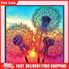 Full Embroidery Sunset Dandelion Counted DIY 11CT Canvas Cross Stitch Kit Craft