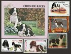 ENGLISH SPRINGER SPANIEL ** Int'l Dog Postage Stamp Art  ** Great Gift Idea **