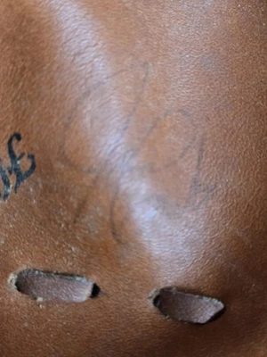 Guante autografiado de los Medias Blancas Coca-Cola Catchers Foto 1 de 4