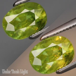 1.57Ct.Wonderful! Natural Green Sphene (Rainbow Spark Under Sun Light) - Picture 1 of 4