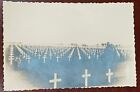 WWII Real Photo UNUSED Postcard Man Looks at Graves Holland US Military Cemetery