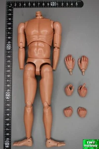 1:6 Scale DID K80134B Great Britain The Royal Guards - Body w/ Hands (NO HEAD) - Imagen 1 de 3