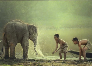 Postkarte - Asien In touch with joy Kinder Elefant - Bild 1 von 1