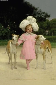 * Windhund * WHIPPET * Levrier * Postcard * # RETRO - Bild 1 von 1