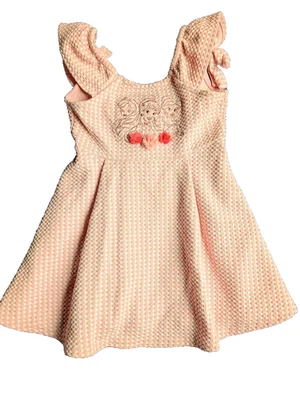 Disney Girl Dress Embroidered Princess 4T SweetPink Gingham Rosette Accent Bow - Image 1 of 4