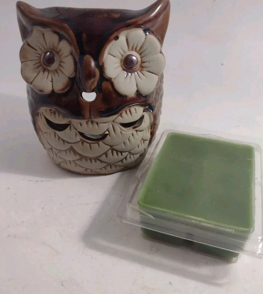 Juego de fragancias calentador de cera de búho Hosley Candle Company con cera Foto 1 de 4