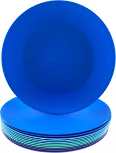 Plastic Plates Reusable - 10 Inch Unbreakable Dinner Plate Set of 12 - BPA Free - Picture 1 of 6