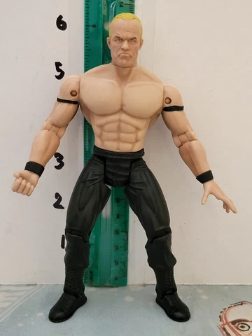 WCW Wrestling Figure Lex Luger Toy Biz Ringmasters Cover