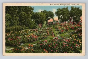 Lincoln NE-Nebraska, Antilope Park Rosengarten, antike Vintage Postkarte - Bild 1 von 2