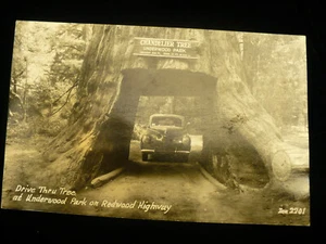 Kronleuchter Baum Underwood Park Drive Thru Baum Kalifornien Postkarte B & W #1599 - Bild 1 von 2