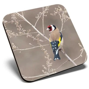 Square Single Coaster - Goldfinch Small Finch Bird #45182 - Picture 1 of 4