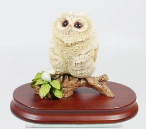 The Natural World Collection by Caithness Young Owl Figurine - Picture 1 of 3