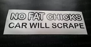 Calcomanía adhesiva divertida ventana troquelada vinilo brillo raspará coche de No Fat Chicks - Imagen 1 de 2