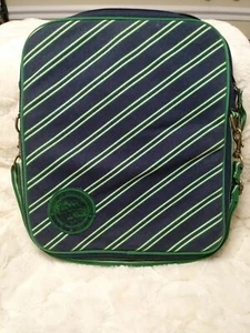 AMERICAN EAGLE OUTFITTERS LAPTOP MESSENGER CROSSBODY STRIPED PADDED BAG - Picture 1 of 7