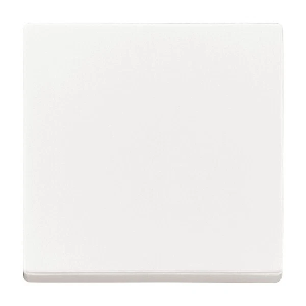 Busch-Jaeger Wippe Taster 1-fach future® linear Studio Weiß 1786-84 - Bild 1 von 1