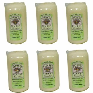 Scented Pillar Candles 6" Tall Ginger Peach 6-Pack Ivory White Nature's 555 - Picture 1 of 3