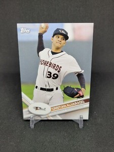 Cristian Alvarado 2017 Topps Pro Debut #170