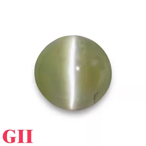GII Certified CEYLONESE Chrysoberyl Cat's Eye 7.48 Ct. Natural Untreated ROUND - Picture 1 of 6