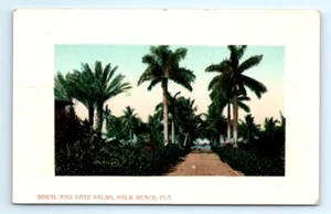 1910s FL Postcard Royal And Date Palms Palm Beach Florida Unposted Valentine Son - Picture 1 of 2