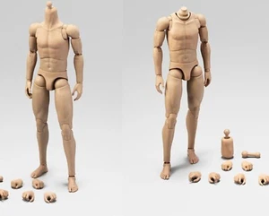 Alert Line 1/6 männliche schmale Schulter flexible muskulöse Actionfigur Körper - Bild 1 von 20