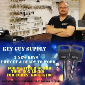 K001-K100 key. Pair of Code STAMPED keys for Weather Guard locks. Locksmith. - Picture 1 of 3