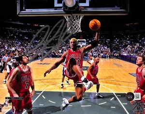 Dennis Rodman Signed Chicago Bulls 8x10 Photo Beckett 44517 - Picture 1 of 2