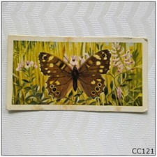 Brooke Bond British Butterflies #1 Speckled Wood Tea Card (CC121)