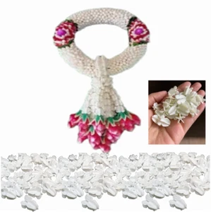 1700pcs Hand crafts Thai Flower White Plastic Garland Crafts Beautiful - Picture 1 of 7