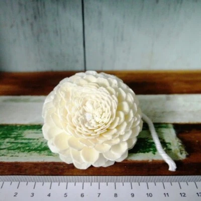 8 Jasmine Sola Wood Diffuser Flowers 6 cm Dia. with cotton rope. For Craft - Image 1 of 4
