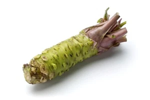 WASABI VIABLE SEEDS - JAPANESE HORSERADISH PLANT- UK Stock - Picture 1 of 3