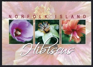 2005 Norfolk Island SG# SB21 Hibiscus Varieties booklet block of 12 Mint MUH MNH - Picture 1 of 3