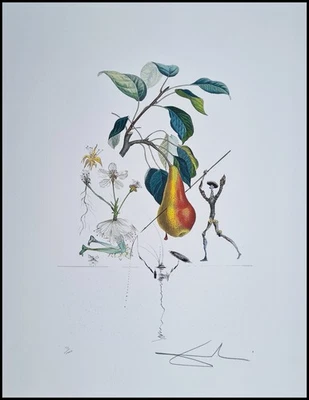 SALVADOR DALI * Don Quixote Pear *65 x 50 cm*signed lithograph*limited # 13/1000 - Bild 1 von 4