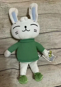 Raska KCMA Coreano Winty & Schive Peluche Conejito con Suéter Verde NUEVO - Imagen 1 de 4