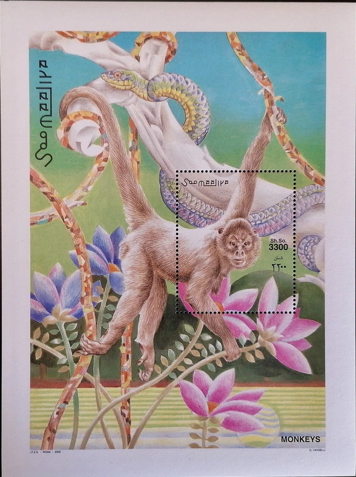 SOMALIA  2002  -  HB MONOS  . - Imagen 1 de 1