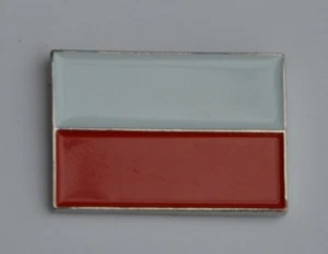 Polish Flag Poland Quality Enamel Lapel Pin Badge - Picture 1 of 3