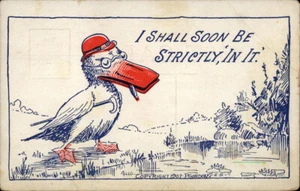 Humorvolle alte Postkarte Ente mit Hut und Brille, 1907 - Bild 1 von 2